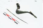 Foto von Bronzepaukenfibel (NHMW-PRAE-026433)